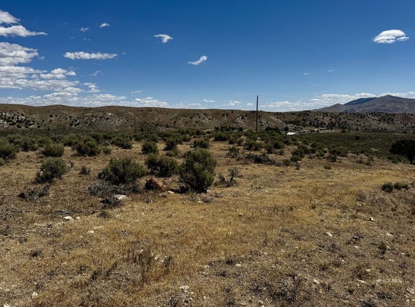 Hollyhock Street, Elko, NV 89801