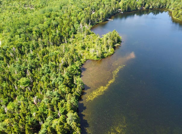 Goulding Lake Road lot: 6, Robbinston, ME 04671