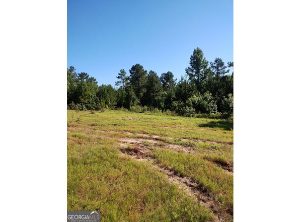 0 Moore, Register, GA 30452