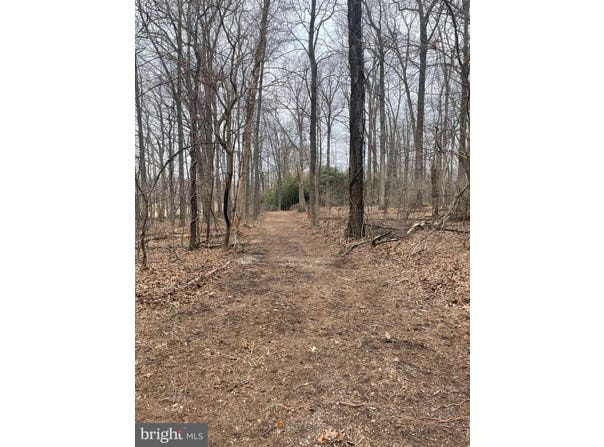 4224 PINEY GROVE, GLYNDON, MD 21071