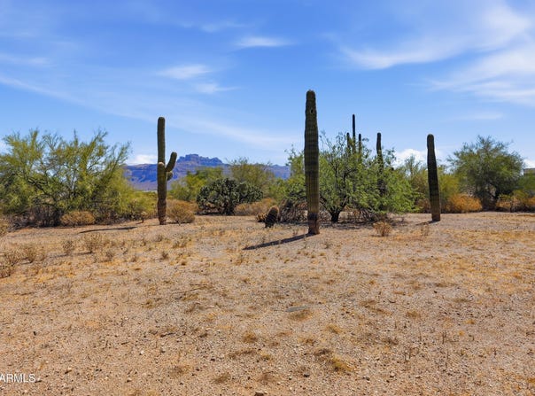 1920 E 18TH Avenue, Apache Junction, AZ 85119