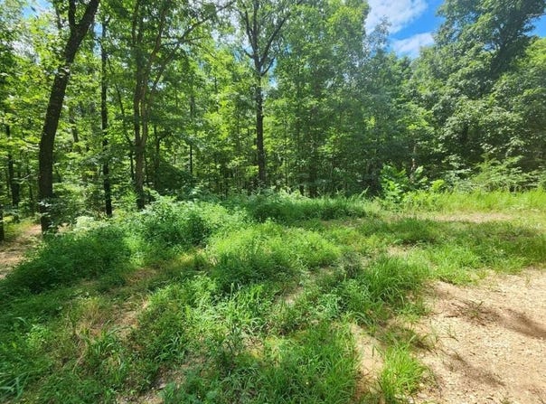 Lot 16 Kettering  LN, Bella Vista, AR 72714