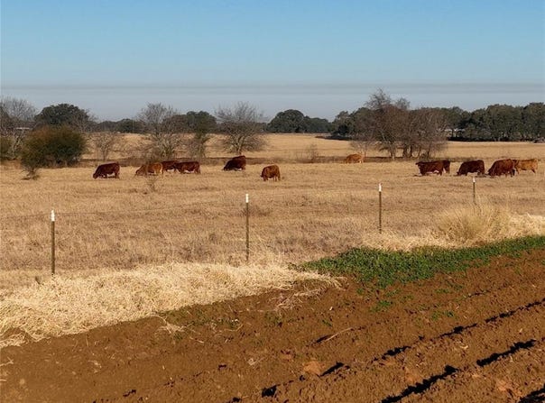 Tr 9 SH 97, Floresville, TX 78114
