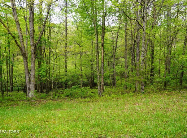 Lot 56 Glade Place, Monterey, TN 38574