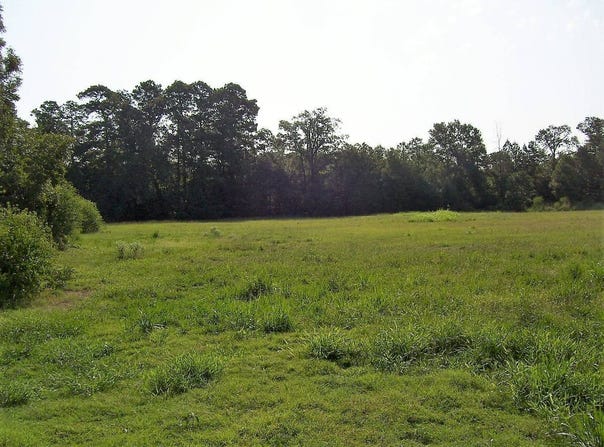 1531 RANKIN ST, Ashdown, AR 71822