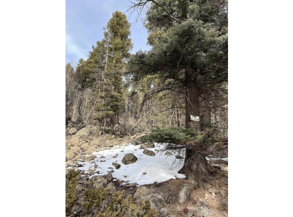 1116 El Camino Real, Angel Fire, NM 87710