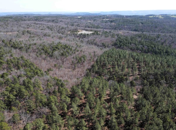 2986 E Mountain Road, Clinton, AR 72031