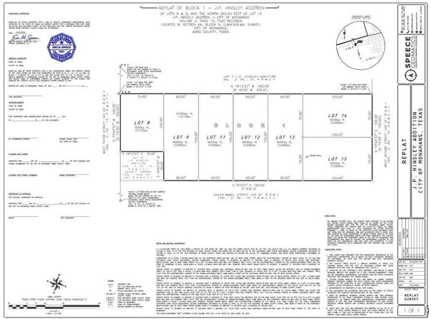 207 S Mable, Monahans, TX 79756