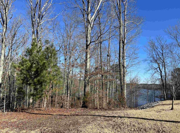Excalibur Trail (Lot 237), Cedar Grove, TN 38321