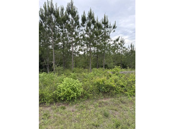 NW Church Road, Altha, FL 32421