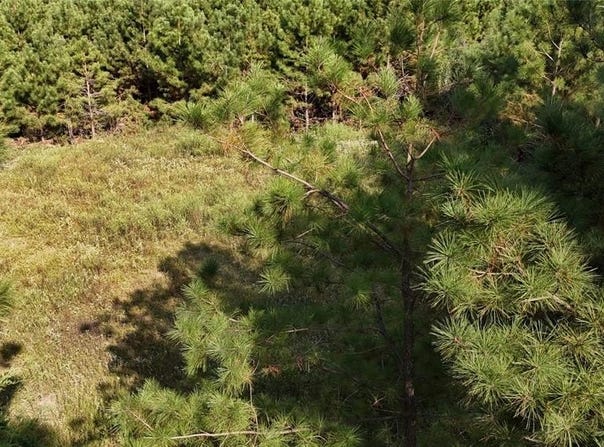 Tbd County Road 3121, Henderson, TX 75669