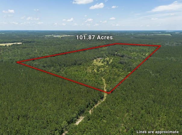 440 Holt Rd, Wray, GA 31798