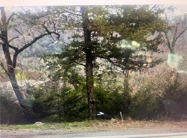Lot 25 of Block 2 Deer Run  LN, Holiday Island, AR 72631