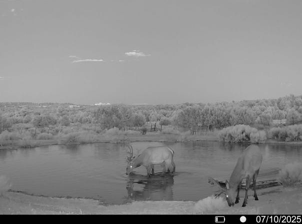 221/223 Five Gate Road, Pinehill, NM 87321