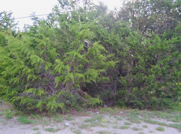407 Thunderhead ST, Spring Branch, TX 78070