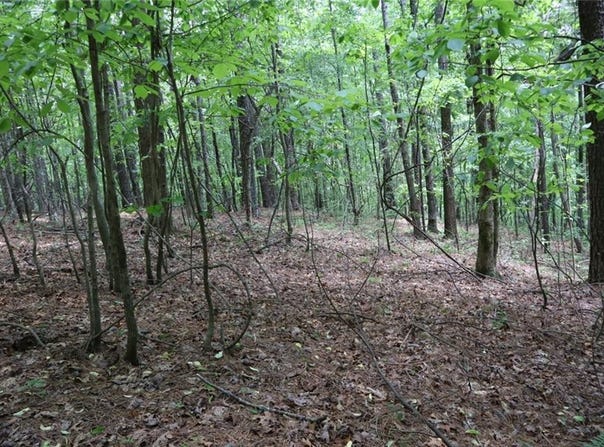 0 Parksbrook Road A, Ellijay, GA 30540