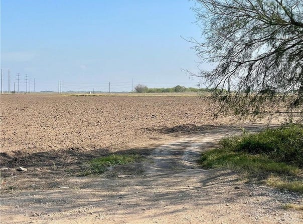 N Gonzalez Street, Progreso, TX 78579