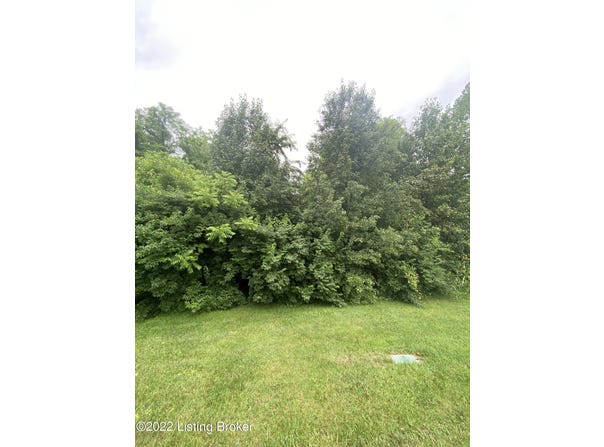 6205 Pebble Ct, Crestwood, KY 40014