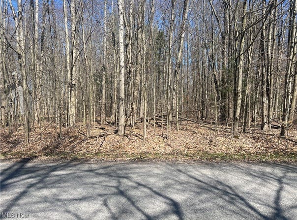 2107 N Park Lane, Roaming Shores, OH 44084
