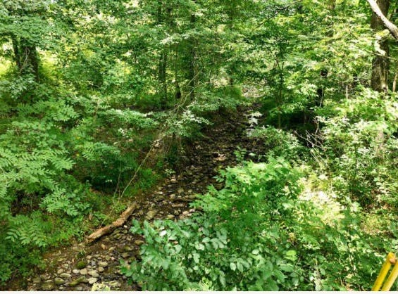 Lt 43 Huckleberry Drive, Science Hill, KY 42553