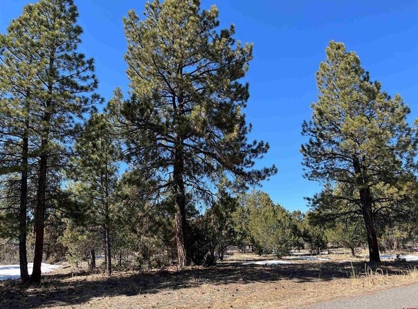 Badger Trail S, Ridgway, CO 81432