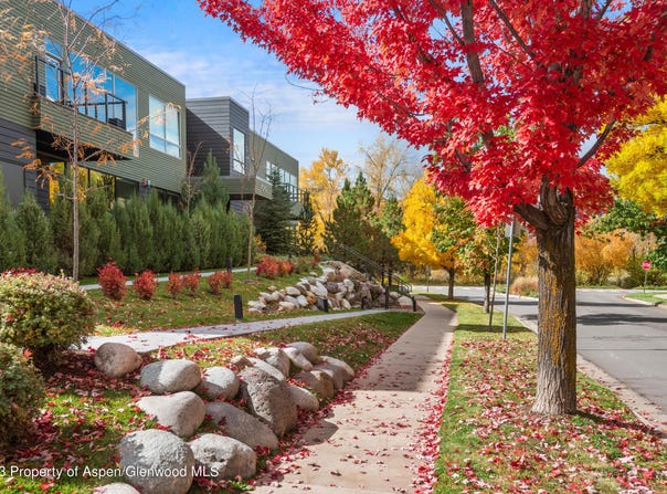100 Evans Road, Basalt, CO 81621