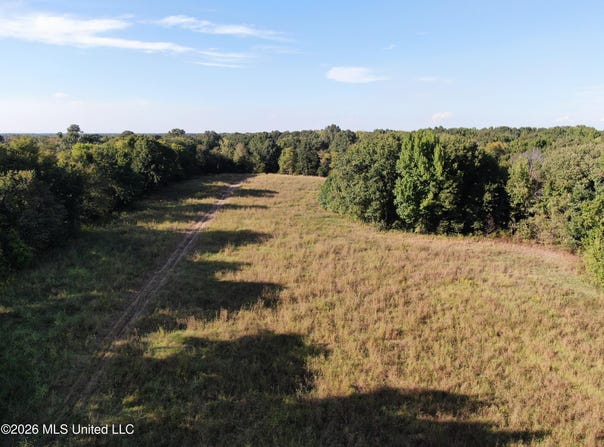 5 Star Landing Road, Nesbit, MS 38651