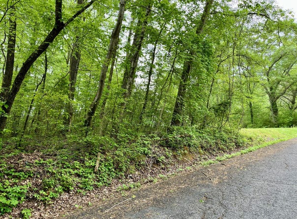 Lot 25 Omega Drive, Whitwell, TN 37397