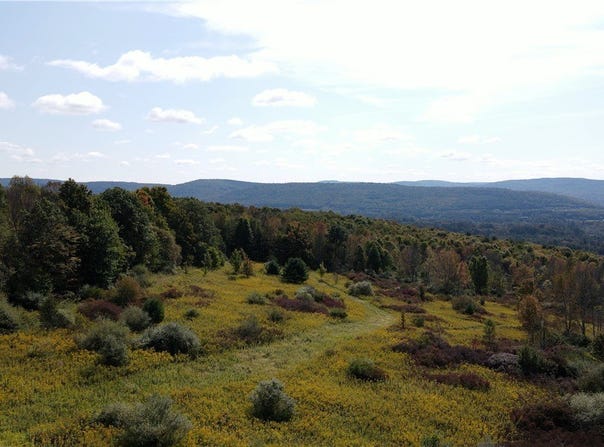 Sisson Hill Rd, Unadilla, NY 13849