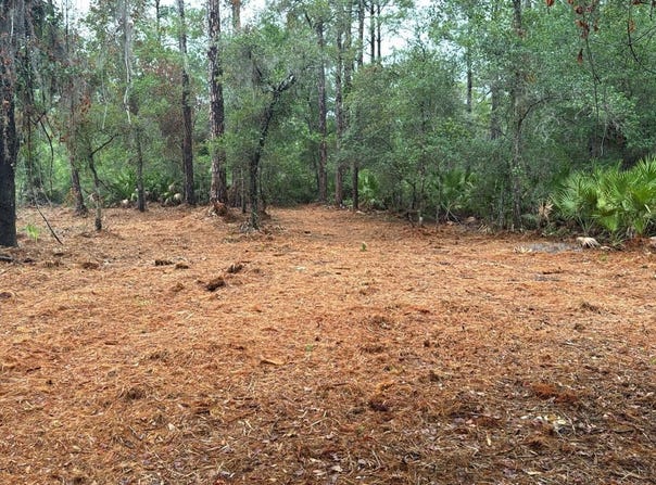 318 PALM WAY, GEORGETOWN, FL 32139