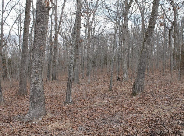 Kip Drive, Edwards, MO 65326
