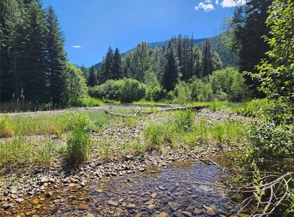 NHN Silver Butte Road, Libby, MT 59923