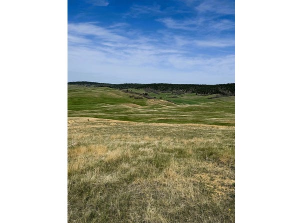 1115 Bowers Road, Sundance, WY 82729
