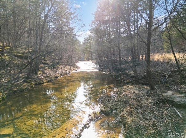 Lot 3 Parkview Dr., Blackwell, MO 63626