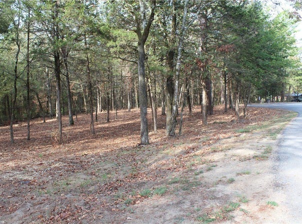 New Blaine, AR 72851