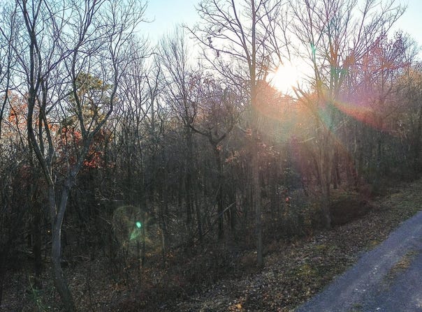 Lot 181 ROCKWOOD TRL, WINCHESTER, VA 22602