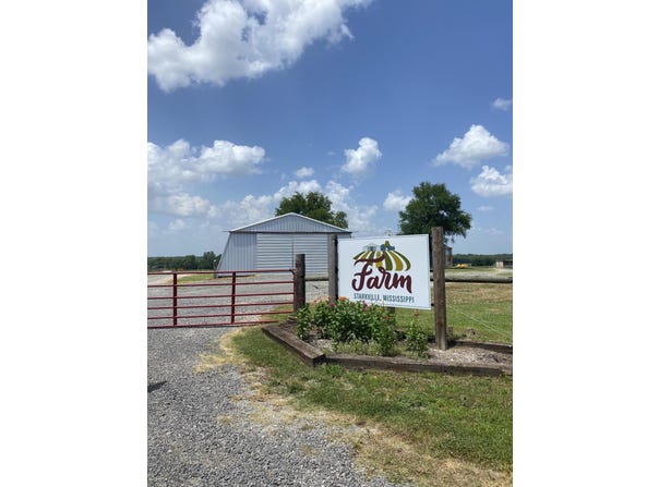 5733 Blackjack Rd, Starkville, MS 39759