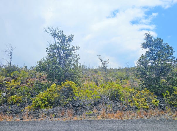 OCEAN VIEW PKWY, Ocean View, HI 96737