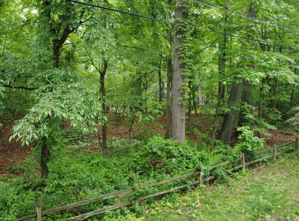 Lots 16-19 Birchwood Trail, Michiana Shores, IN 46360