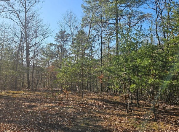 TIGER VALLEY Road, HYNDMAN, PA 15545