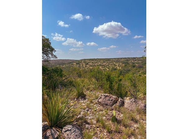 Lot 48 County Rd 410, Comstock, TX 78837