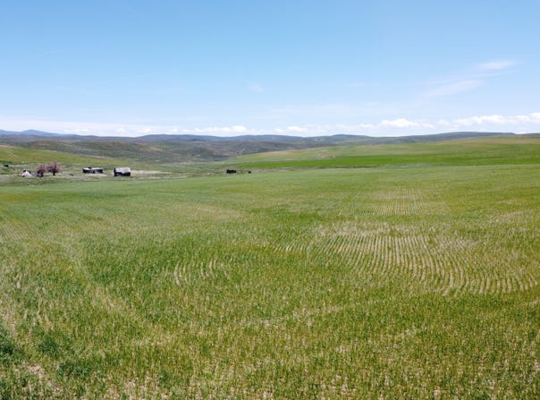 TBD County Road 29, Craig, CO 81625