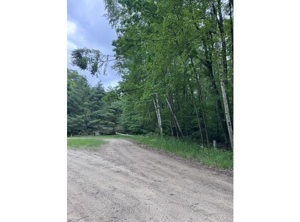 114 Bluff Drive, Leroy, MI 49655