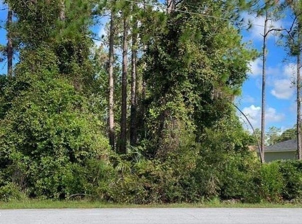3 Ryarbor Drive, Palm Coast, FL 32164