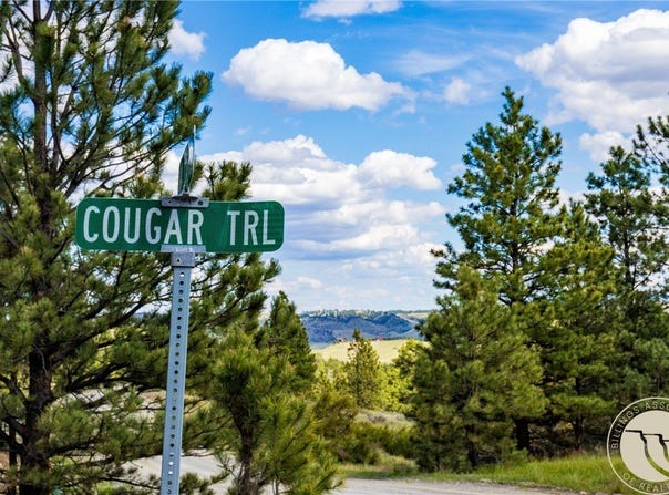 88 Cougar Trail, Reed Point, MT 59069