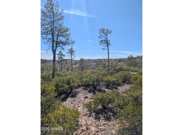 958 NAVAJO Trail, Show Low, AZ 85901
