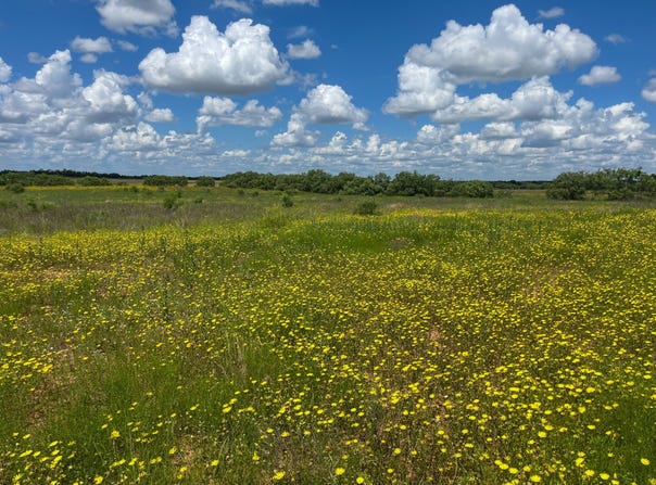 2035 CR 448, Rochelle, TX 76827