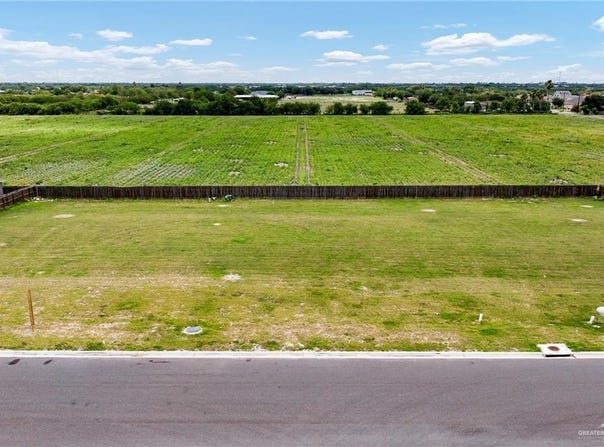 816 W Sunset Valley Street, Alton, TX 78573