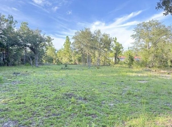 NE 50TH Place, WILLISTON, FL 32696