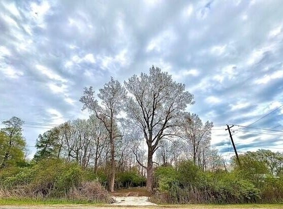 2561 Paw Paw Avenue, Benton Harbor, MI 49022